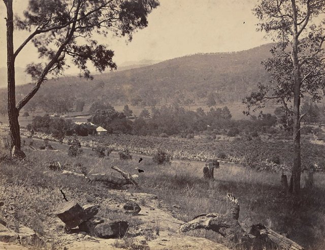 Aboriginal lands in Upper Hunter: cleared and cultivated. “Thornthwaite” at Dartbrook c1860. SLNSW